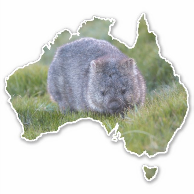 Australia Outline Shape Cute Wombat Tasmania (Front)