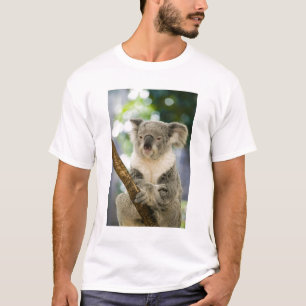 Australia, Queensland, Brisbane, Fig Tree T-Shirt