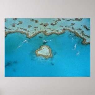 Australia, Queensland, The Whitsunday Islands, Poster