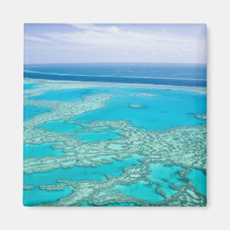 Australia, Queensland, Whitsunday Coast, Great 3 Magnet