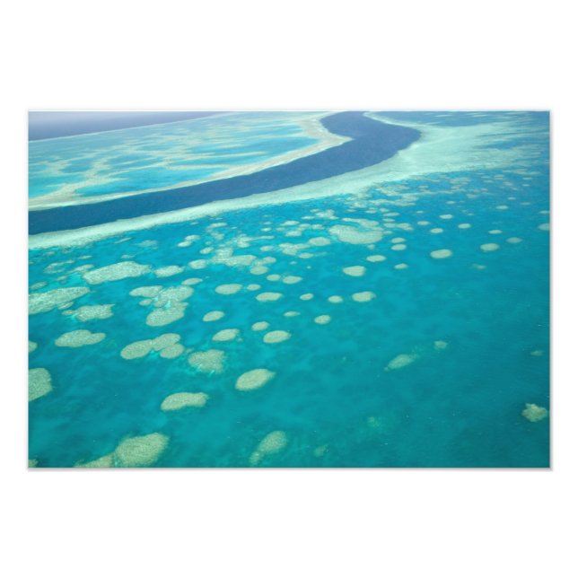 Australia, Queensland, Whitsunday Coast, Great 4 Photo Print (Front)
