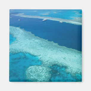 Australia, Queensland, Whitsunday Coast, Great 5 Magnet