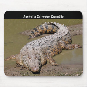 Australia Saltwater Crocodile Mouse Mat