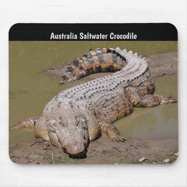 Australia Saltwater Crocodile Mouse Mat (Front)