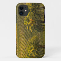 Australia, South Australia, Barossa Valley,