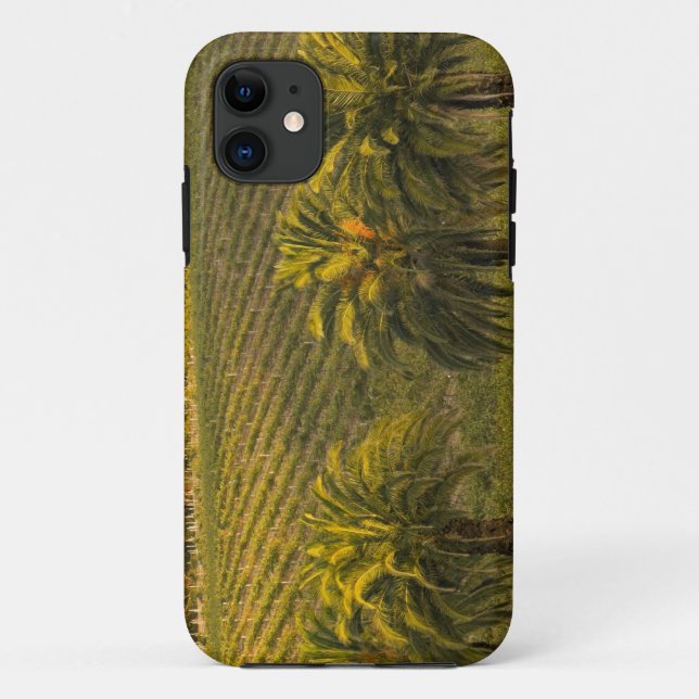 Australia, South Australia, Barossa Valley, Case-Mate iPhone Case (Back)