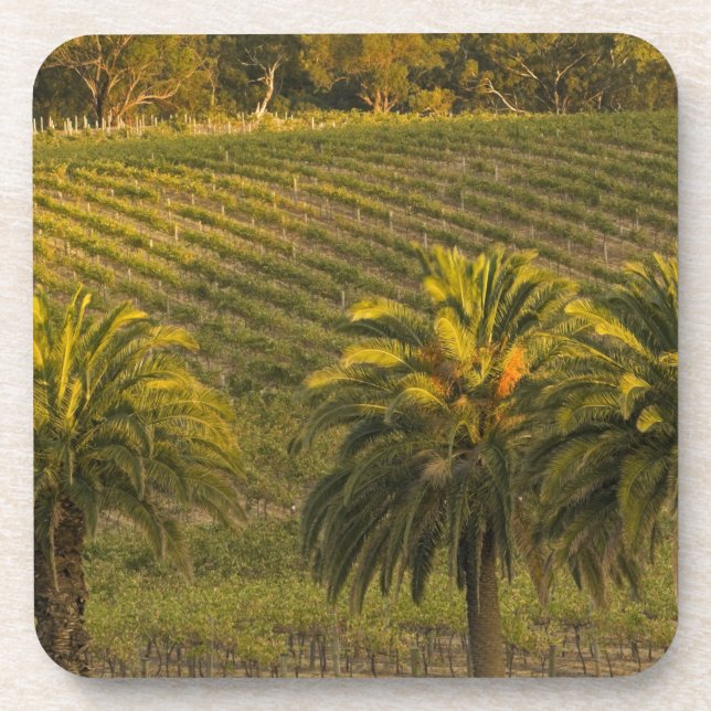 Australia, South Australia, Barossa Valley, Coaster (Front)