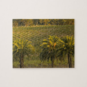 Australia, South Australia, Barossa Valley, Jigsaw Puzzle