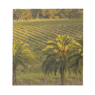 Australia, South Australia, Barossa Valley, Notepad