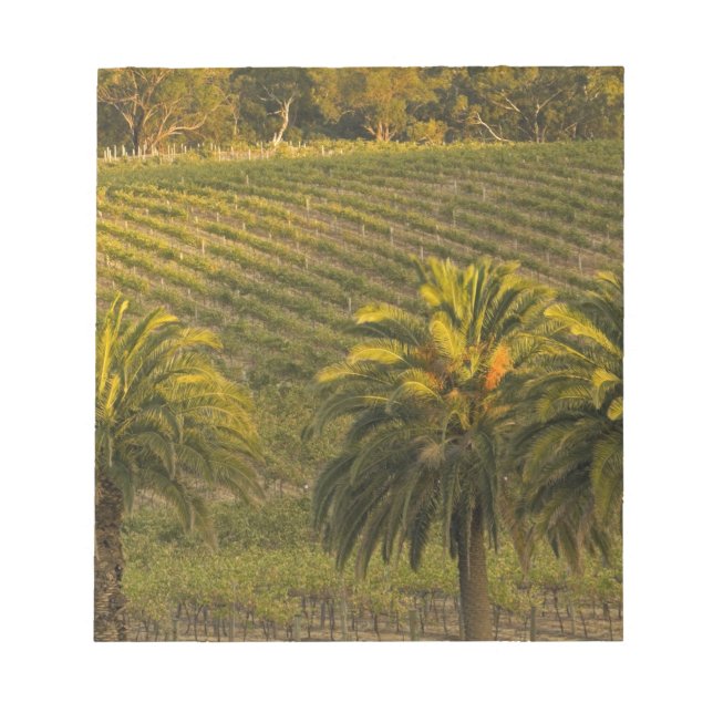 Australia, South Australia, Barossa Valley, Notepad (Front)