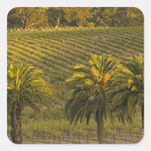 Australia, South Australia, Barossa Valley, Square Sticker