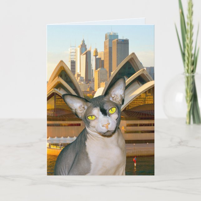 Australia Sydney Sphynx Cat Rex Cat Happy Birthday Holiday Card (Front)