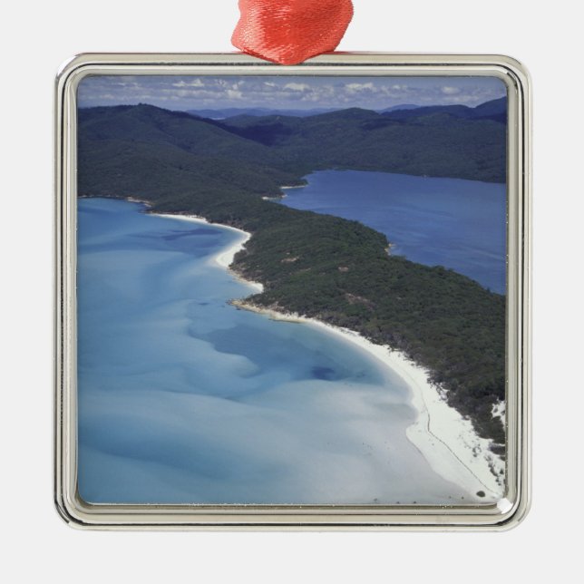 Australia, The Whitsundys, Queensland. Hill Metal Tree Decoration (Front)