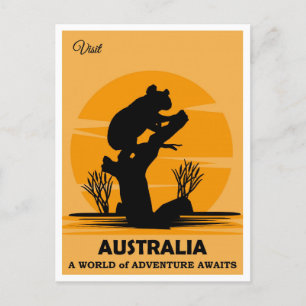 Australia Vintage Koala Bear Travel Postcard