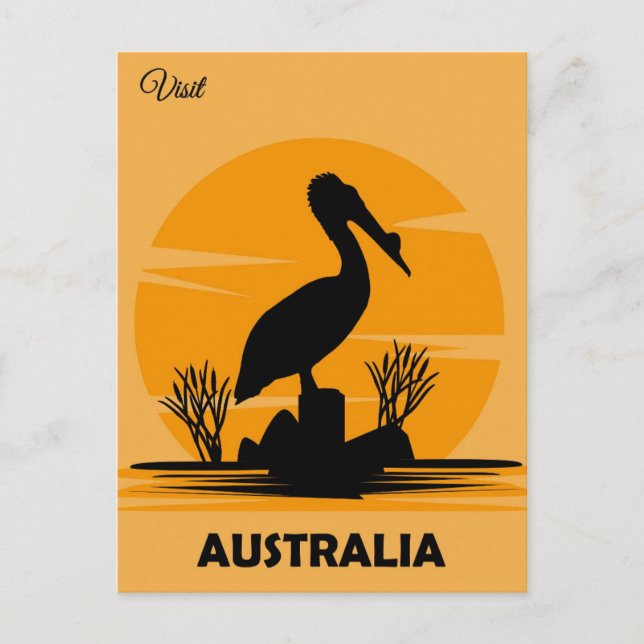 Australia Vintage Pelican Travel Postcard (Front)