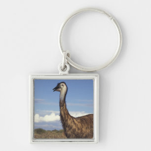 Australia, Western Australia. Emu (Dromaius Key Ring
