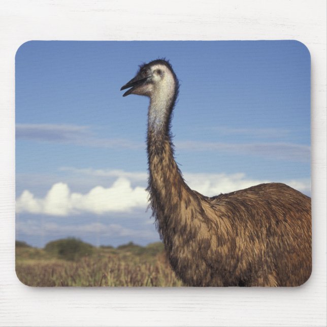 Australia, Western Australia. Emu (Dromaius Mouse Mat (Front)