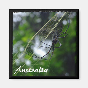 Australia, Wilderness, Spider (Magnet) Magnet