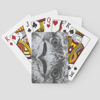 Australia Wildlife, Nature's Curmudgeon, Animal Playing Cards