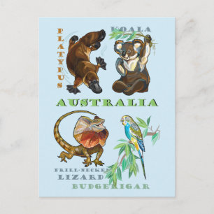 Australia wildlife postcard