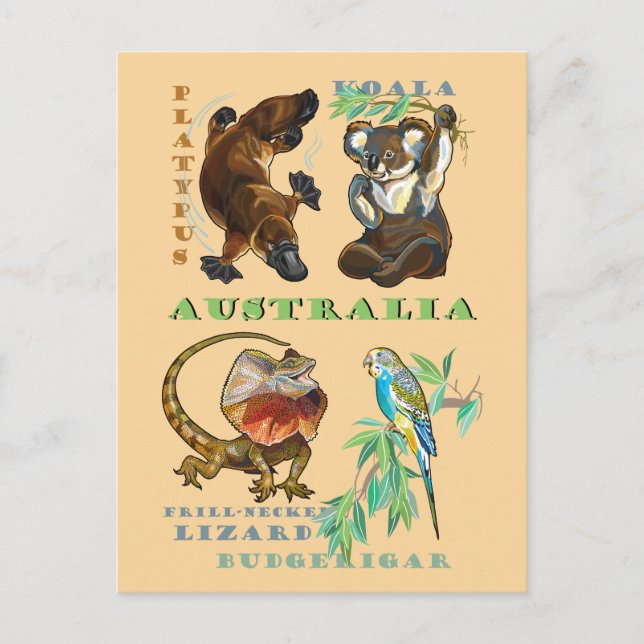 Australia wildlife postcard (Front)
