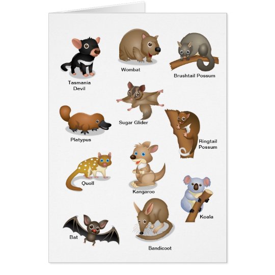 Australian Animal Greeting Card
