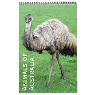 australian animals calendar