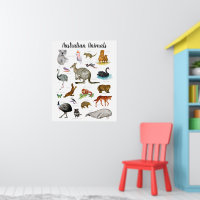 Australian Animals | Education Learning Classroom
