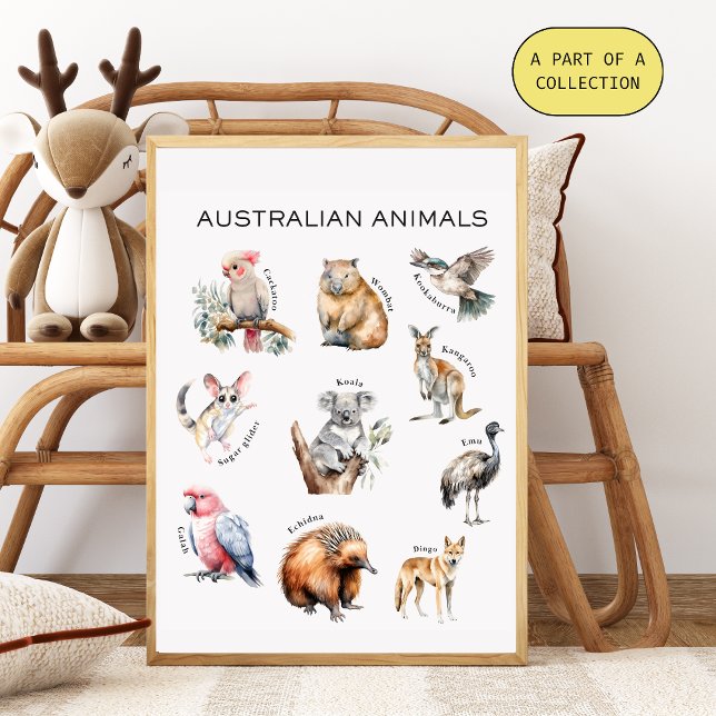 Australian Animals Educational Poster  (Creator Uploaded)