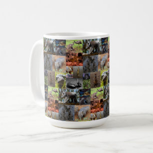 Australian Animals Photo Collage, Coffee Mug
