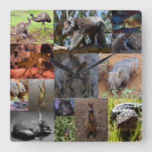 Australian Animals Photo Collage, Wall Clock