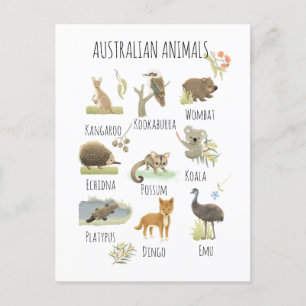 Australian Animals Postcard