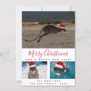 Australian Animals Red Script Multi Photo Collage Holiday Card