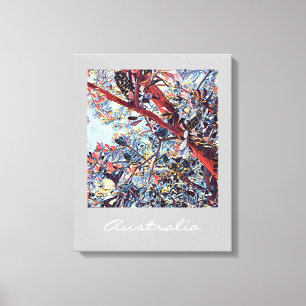 Australian Banksia tree native plant Canvas Print
