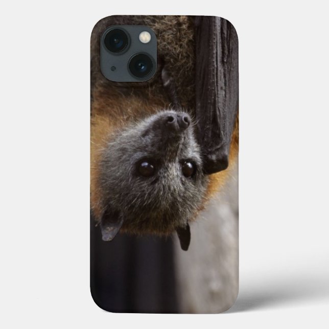 Australian Bat Case-Mate iPhone Case (Back)
