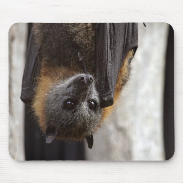 Australian Bat Mouse Mat (Front)