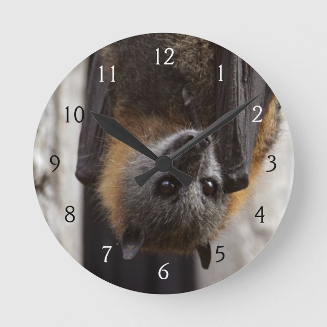 Australian Bat Round Clock (Front)