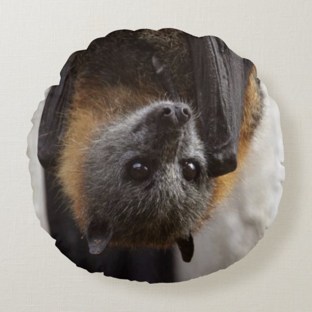 Australian Bat Round Cushion (Front)