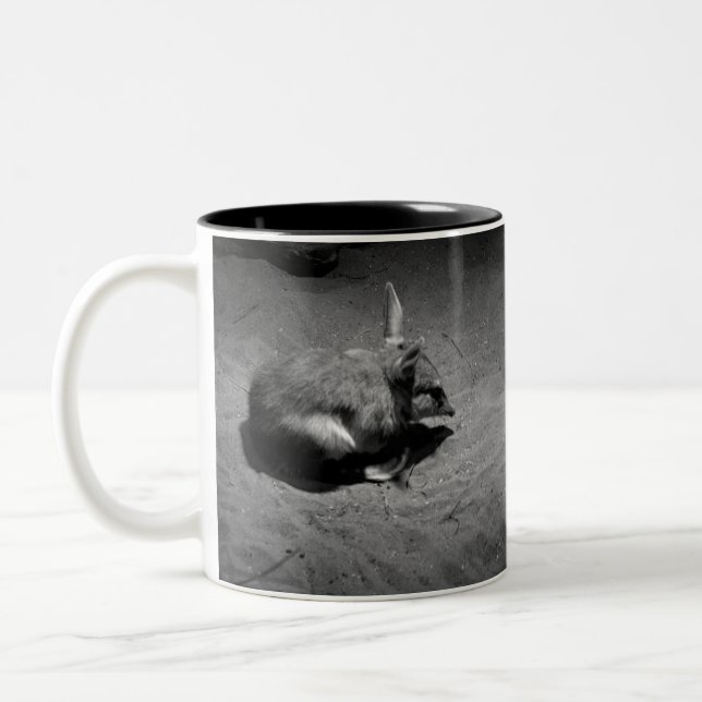 Australian Bilby, Know As The Aussie Easter Bunny, Two-Tone Coffee Mug (Left)