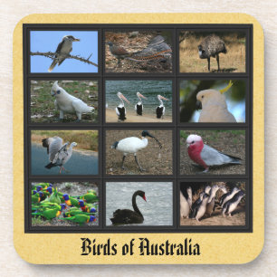 Australian Birds Coaster