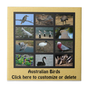 Australian Birds Tile