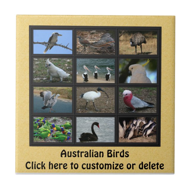 Australian Birds Tile (Front)