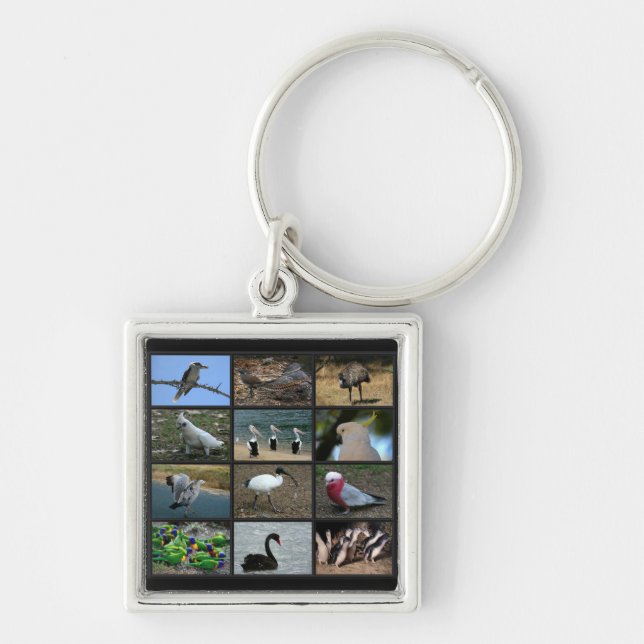 Australian Birdwatchers Collage Key Ring (Front)