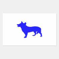 Australian Blue Heeler
