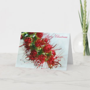 Australian Bottlebrush Christmas Card