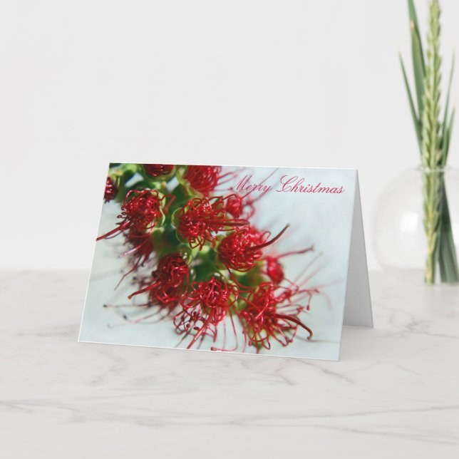 Australian Bottlebrush Christmas Card (Front)