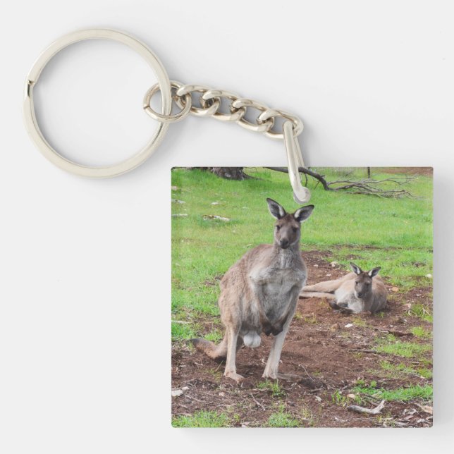 Australian Buck Kangaroo, Key Ring (Front)