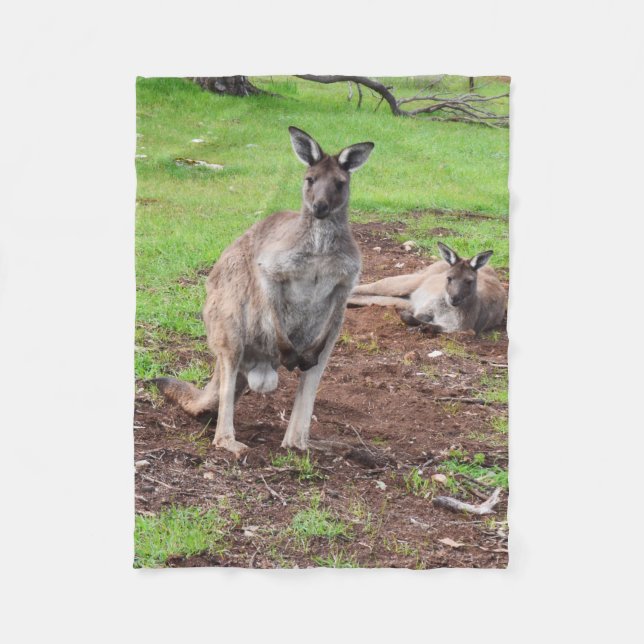 Australian Buck Kangaroo, Small Fleece Blanket. Blanket (Front)