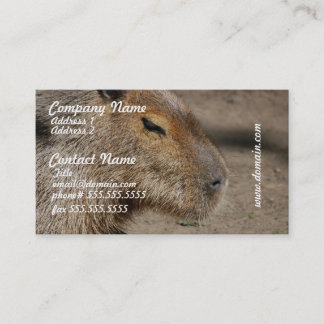 Australian Capybara Business Cards