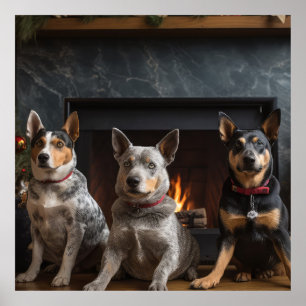 Australian Cattle by the Fireplace Christmas Poster